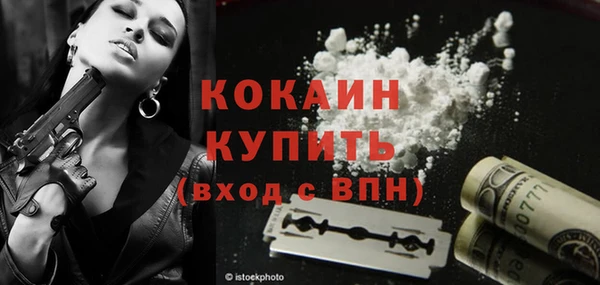 амф Бородино