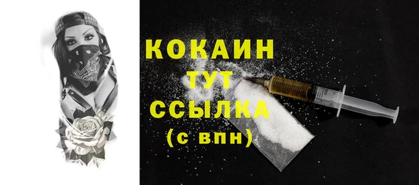 амф Бородино