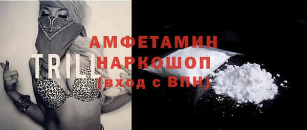 амф Бородино