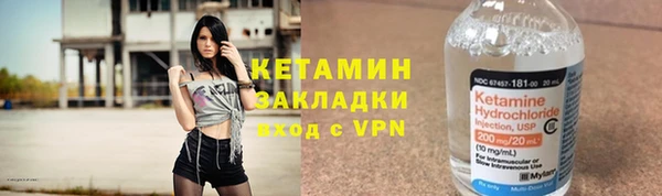 прущие грибы Верея