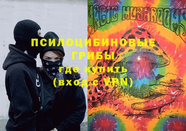 гашик Богданович