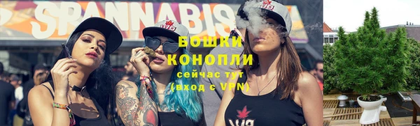 хмурый Волоколамск