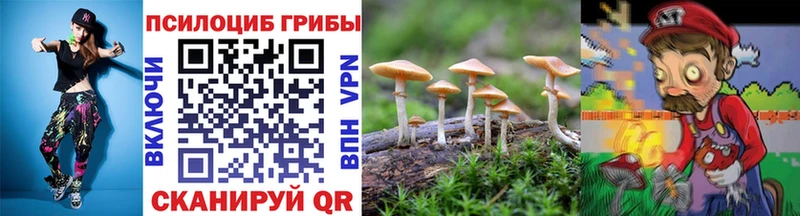 Псилоцибиновые грибы Magic Shrooms Зарайск